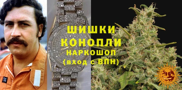 МДПВ Куртамыш